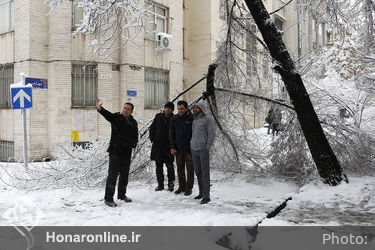 صبح برفی تهران 