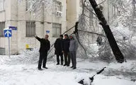 صبح برفی تهران 