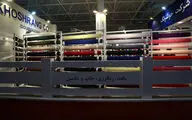 از شگفتی نماینده مجلس تا اخبار خوش مشاور وزیر صنعت، معدن، تجارت در حاشیه نمایشگاه 