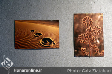 پایان کار پروژه جهانی هنر کوچ‌رو در موزه هنرهای معاصر تهران