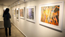 Hesam Darvish Photography Exhibit Launched
