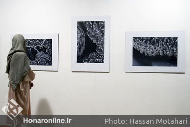 آئین افتتاحیه نمایشگاه عکاسی داریوش محمدخانی در فرهنگسرای نیاوران 