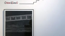 Saye Gallery Shows paintings by Sara Rashidi
