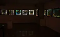 نمایشگاه نقاشی علی پریزاد در گالری شلمان