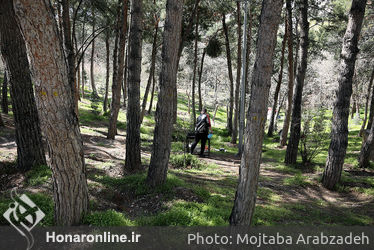 روز طبیعت در بوستان آب آتش تهران