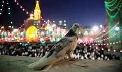 واکنش وزیر فرهنگ به ماجراهای جشنواره کن با هشتگ «سلام بر امام مهربانی» | احسان علیخانی و اشتباهی که زود جبران شد