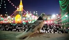 واکنش وزیر فرهنگ به ماجراهای جشنواره کن با هشتگ «سلام بر امام مهربانی» | احسان علیخانی و اشتباهی که زود جبران شد