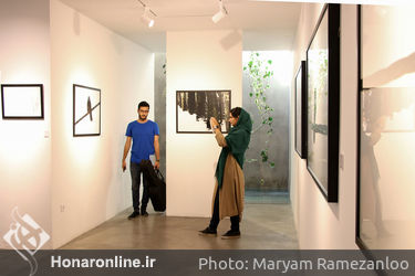 نمایشگاه عکس مهدی شادی‌زاده در گالری سایه