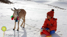 The Skier Goes to Sharjah Children Filmfest. in UAE