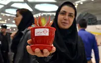 با عکاسان هنرآنلاین در سال 95 - بهاره اسدی 
