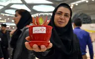 با عکاسان هنرآنلاین در سال 95 - بهاره اسدی 