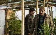 تیتراژ پایانی «هم‌بازی» با صدای فریدون آسرایی