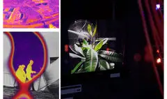 تمرکز بر فناوری اطلاعات در دوسالانه معماری ونیز | «درهم تنیدگی» در پاویون ایرلند