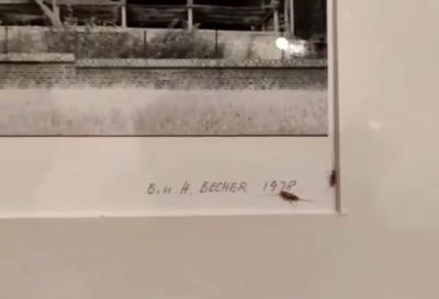 Insects on Hilla Becher photo at Tehran museum cause media frenzy