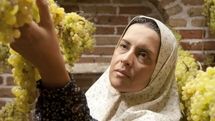 The Paternal House Gets Green Light for Iran Screening