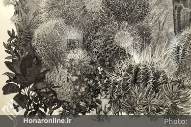 نمایشگاه آثار کسری گلرنگ در گالری هما