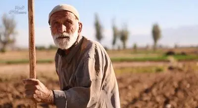 Intl. festivals pick films from Iran 