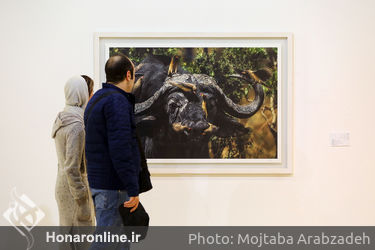 نمایشگاه عکس رضا باقری در پردیس ملت