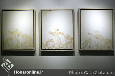 نمایشگاه آثار آزاده رزاق‌ دوست در گالری شیرین