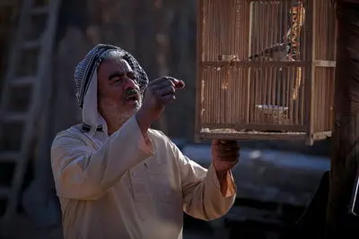 نخستین عکس سروش صحت و سعید آقاخانی در «پل»