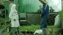 Brussels Millenium Festival Picks Iranian Films