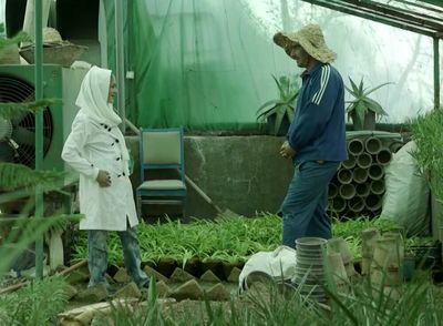 Brussels Millenium Festival Picks Iranian Films