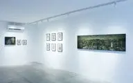 روایت مهشاد صفوی از نمایشگاه «دنیای موازی» در گالری ژاله | اشیاء انسان‌گونه
