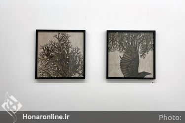 نمایشگاه طراحی انسیه اکبرزاده در گالری اُ