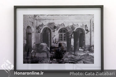 نمایشگاه عکس آرمین امیریان در گالری اعتماد باغ نگارستان