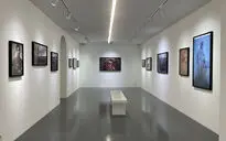 نمایشگاه آثار آرمین امیریان در گالری اعتماد