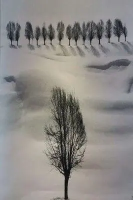 جشنواره جهانی فیلم فجر در آستانه ثبت بین‌المللی