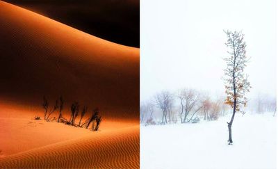 Iranian photographers honored at Global Photographic Union contest 