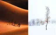 Iranian photographers honored at Global Photographic Union contest 