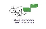 معرفی داوران بخش 