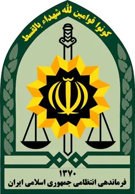 توضیح پلیس درباره بازداشت بازیگر معروف