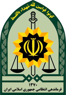 توضیح پلیس درباره بازداشت بازیگر معروف