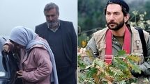 رونمایی از «آبی روشن» تا خاطره بازی با «خاکستر سبز»