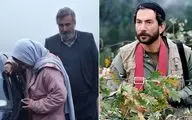 رونمایی از «آبی روشن» تا خاطره بازی با «خاکستر سبز»