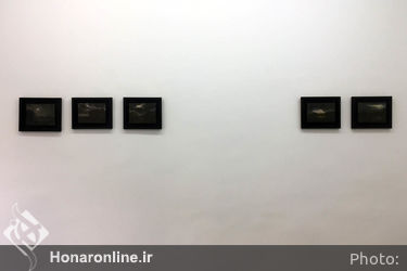 نمایشگاه نقاشی سارا نظری در گالری اُ