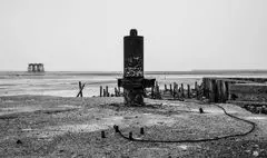 نگاهی متفاوت به نمایشگاه گروهی عکس «زاستار»/ چشم در چشم طبیعت