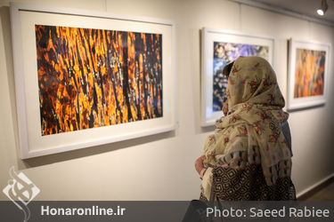 نمایشگاه عکس حسام درویش‌پور در گالری گلستان