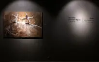 نمایشگاه آثار حسین ایراندوست مقدم در گالری شیرین