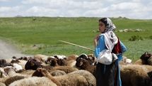 «دشت می‌خواند» موفق به کسب جایزه از جشنواره ایتالیایی شد