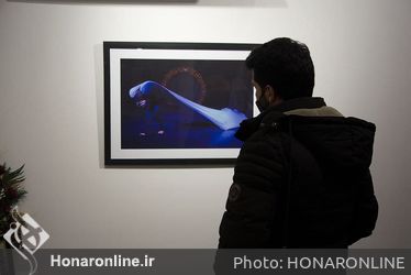 نمایشگاه عکس فرزاد جمشیددانایی در نگارخانه بهارک