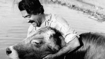 Berlin Sinema Transtopia to review Iranian New Wave masterpieces