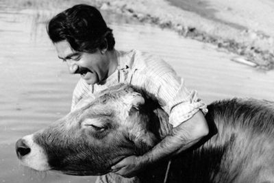Berlin Sinema Transtopia to review Iranian New Wave masterpieces