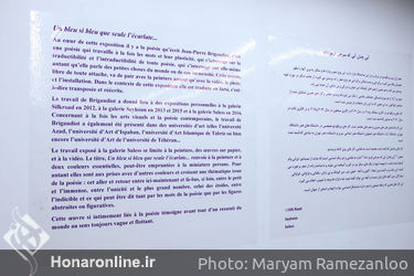 نمایشگاه نقاشی و ویدئو ژان پیر بریگودیو در گالری ثالث