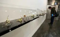 مجسمه‌هایی که پوشیدنی هستند / جواهرسازی هنری و هنر ارتباطی / روایت همتی، عناصری و شمسی‌زاده از نمایشگاه 