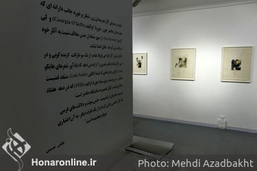 نمایشگاه آثار نازیلا مقدم در گالری هور