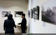 نمایشگاه گروهی عکس در نگارخانه آفرینش نور